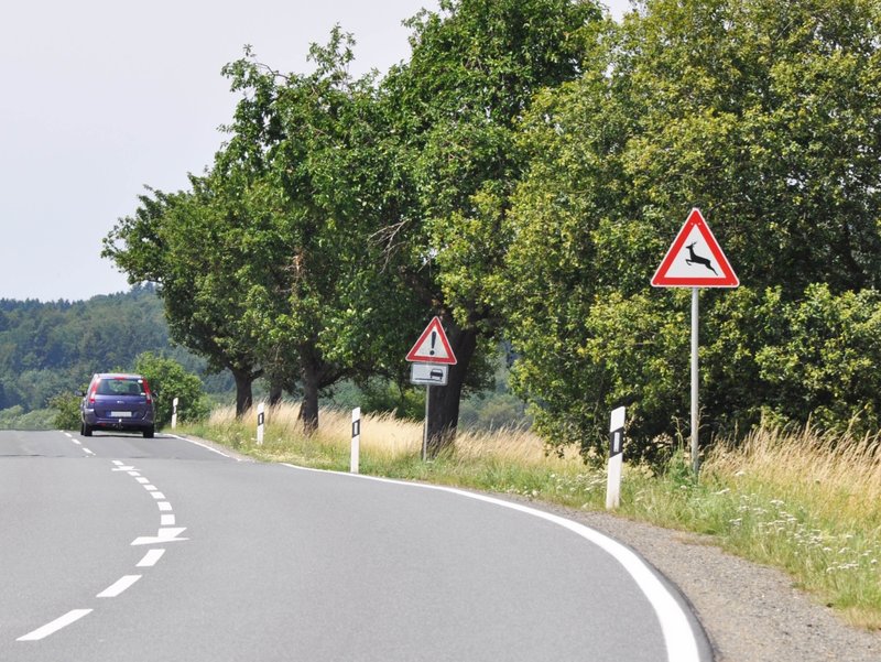wildwechsel-warnschild-reh-landstrasse-sommer.jpg Bild wildwechsel-warnschild-reh-landstrasse-sommer.jpg